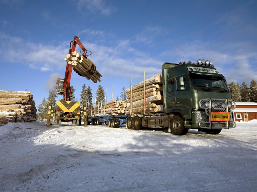  Volvo FH16 Timber Truck 2003 года  (фото 6 из 10)